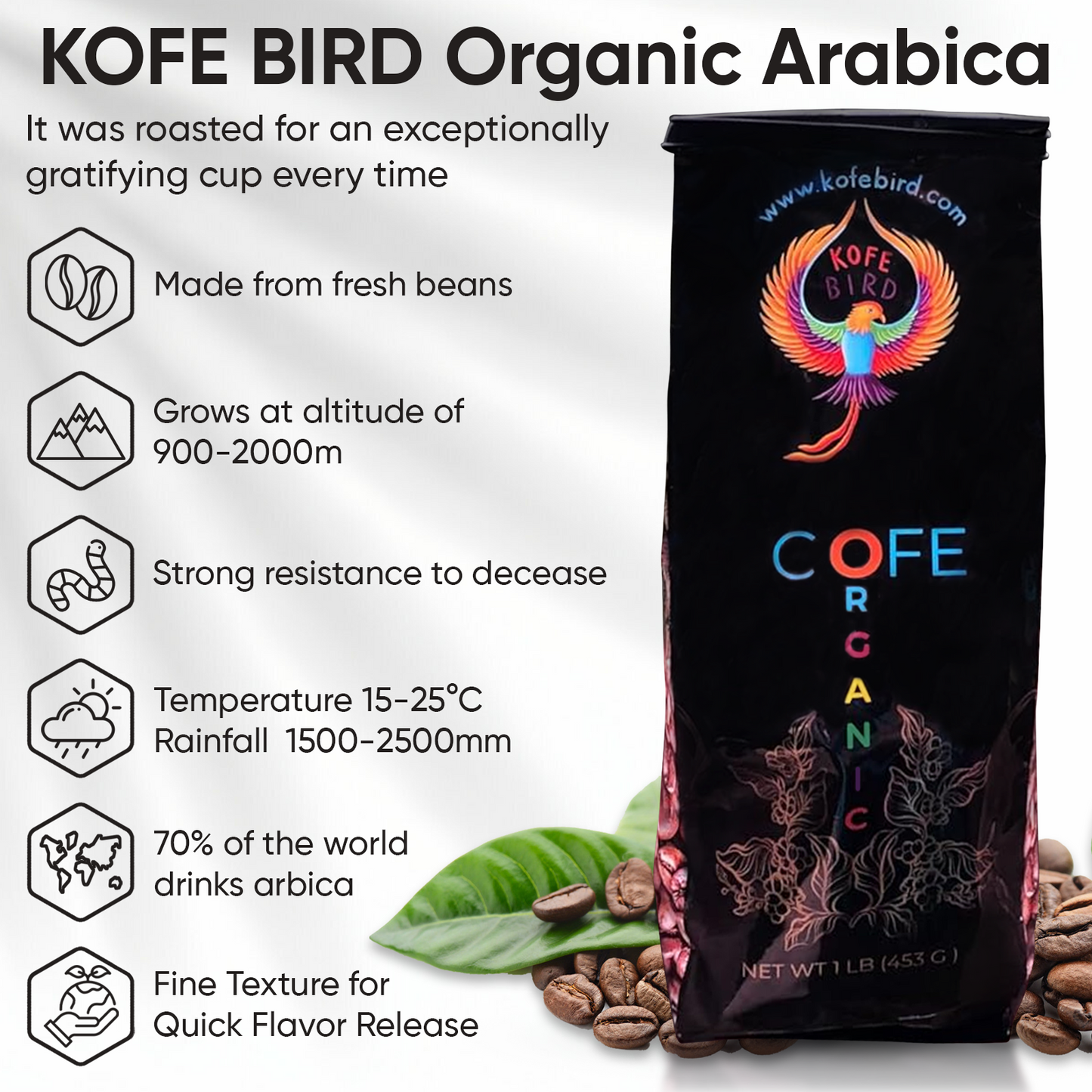Kofe Bird Premium Specialty Coffee - 100% Arabica From Guatemala